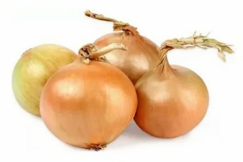 پیاز زرد پر آب زرد مرطوب و گوشت دار برای آشپزی تازه